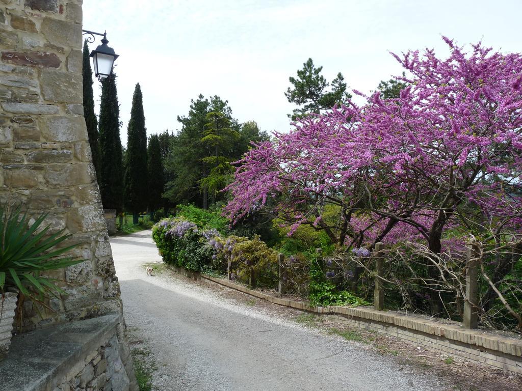 Castello Di 3*